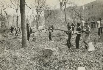 Metropolitan Boys Club members help cleanup Mt. Zion Cemetery in 1974 (Reprinted with permission of the DC Public Library, Star Collection, © Washington Post.)