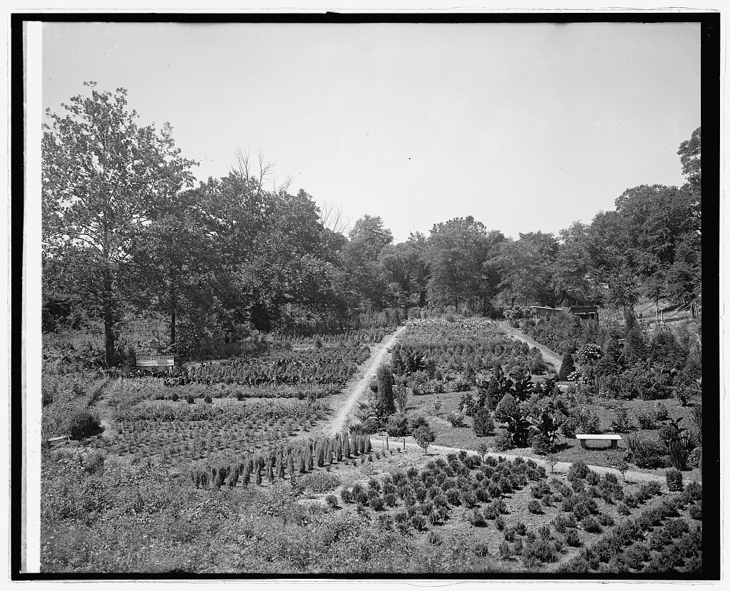 The Bladensberg Dueling Grounds circa 1920s. The field has been transformed into a tree nursery.
