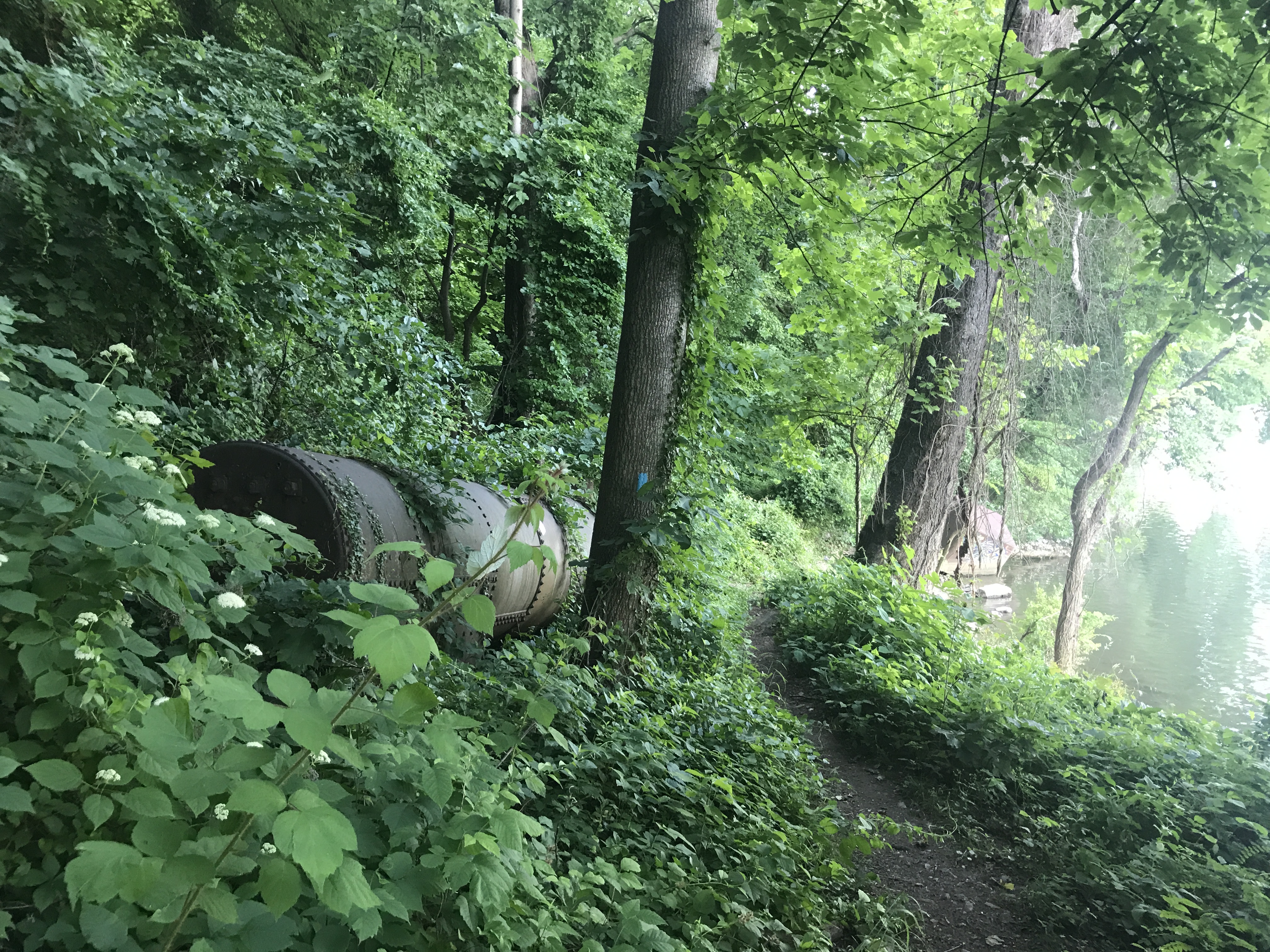 On the Potomac Heritage Trail just south of Potomac Overlook Regional Park, abandoned quarry equipment still sits.