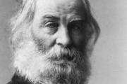 Walt Whitman in Washington, D.C.