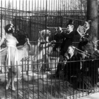 A Friday Photo: Jazz for the Bears