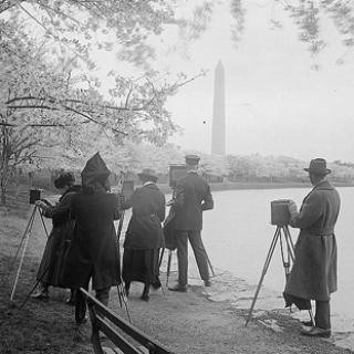 Photographers shooting cherry blossoms, Washington, D.C., April 7, 1922 (Library of Congress)
