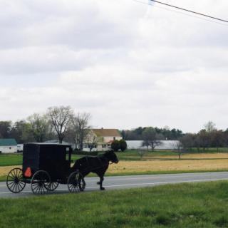 Amish horse and buggy on the road in Southern Maryland. (Courtesy of St. Mary's College of Southern Maryland Archives.)