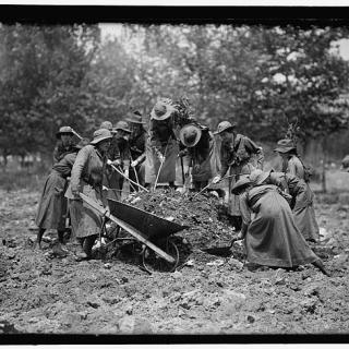 Girl Scouts gardening