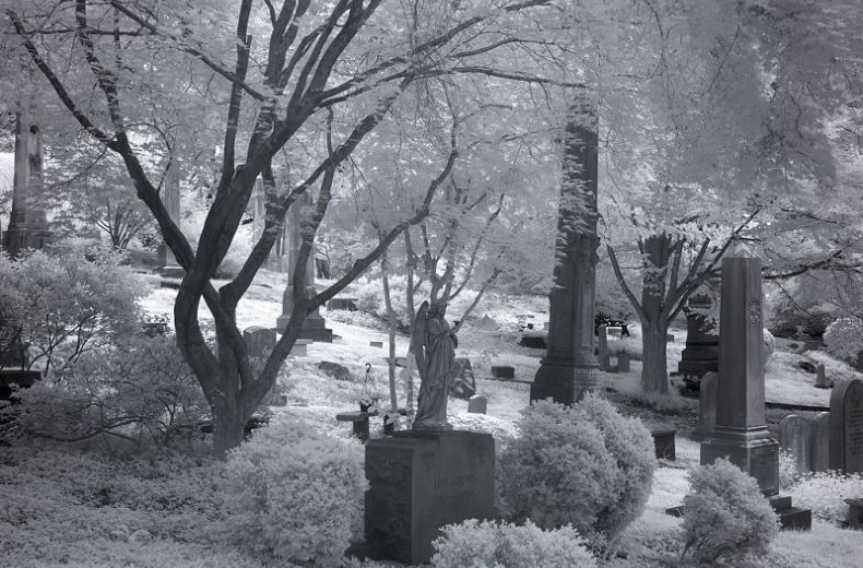Oak Hill Cemetery in Washington, D.C.