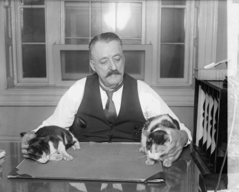A man holds two cats on a desk within the US Capitol.