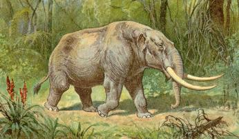 An artistic representation of a mastodon