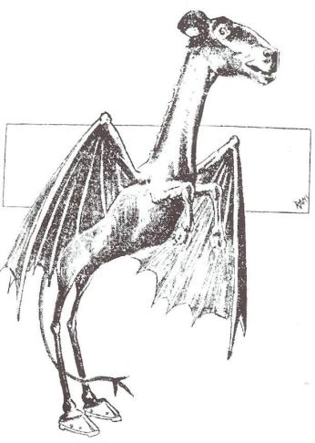 The Jersey Devil, a bipedal horse with horns, bat-wings, and a forked tail