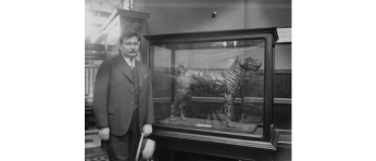 Newsboys donated pennies to make a bronze statue of "Laddie Boy," which stood on display at the Smithsonian for many years. According to the Smithsonian's archives, the inscription reads "Laddie Boy, cast from the pennies of newsboys throughout the nation in memory of Warren Gamaliel Harding, their friend".  (Photo credit: Smithsonian Institution Archives, SIA2009-0445 and 811)