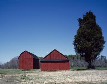 Red barns on Amish farm in Southern Maryland. (Source: Library of Congress)
