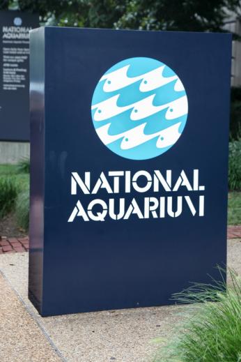 Photo of sign outside D.C.'s National Aquarium in 2008. Image Source: Wikimedia Commons