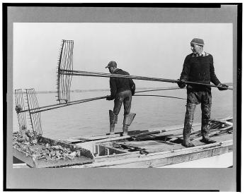 Oyster tongers, Rock Point, Maryland Two men tonging for oysters