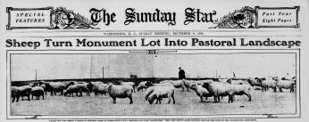The Sunday Star headline about sheep grazing in West Potomac Park. (Source: Evening Star newspaper, December 6, 1914)