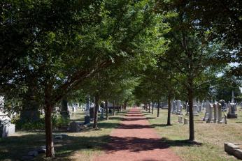 View of a path through the Congressional Cemetery