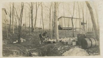 photograph showing the mystery location of the 'Hades' pit in future Spring Valley neighborhood, where World War I munitions were buried after the war's end. (source: U.S. Army Corps of Engineers)