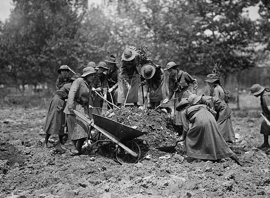 Girl Scouts gardening