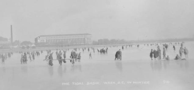 Ice Carnival at the Tidal Basin