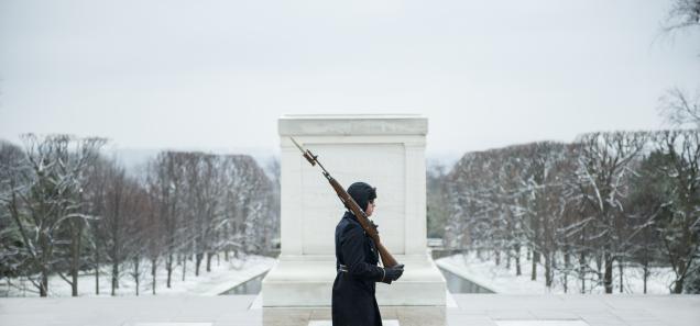 Guarding the Tomb of the Unknown Soldier, 21 Steps at a Time