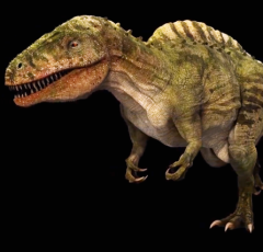 D.C.'s Prehistoric Fab Five: The Greatest Extinct Creatures that Roamed the DMV